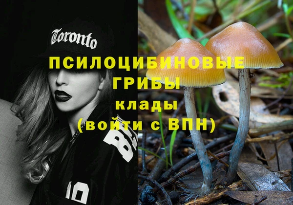 амф Абинск