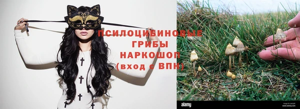 амф Абинск
