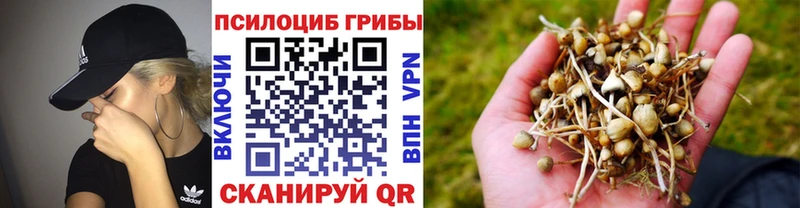 Псилоцибиновые грибы ЛСД  Александров 